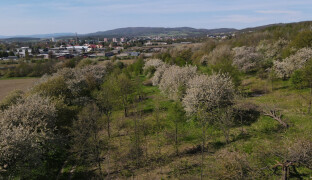 V třešňovém sadu odhalí nová díla i pietní místo. Nadšenci si připomínají Jirku Beneše