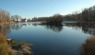 Kormoráni, vydry a bobři způsobili škody za miliony. Stát vyplácí náhrady škod