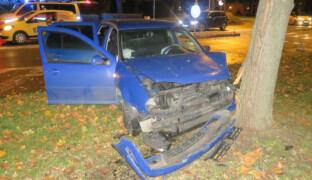 Jízda skončila nárazem do stromu. Devatenáctiletý řidič vyvázl bez zranění