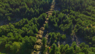 V Jeseníkách vznikají přírodní hráze. Voda se má vrátit zpět do půdy