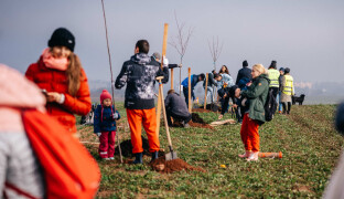 Dobrovolníci a potomci vysídlených rodin vysadili na Prostějovsku Alej svobody
