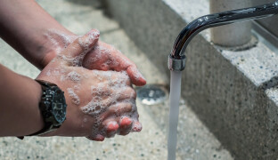 Hygienici spouštějí kampaň proti žloutence A. Přerov hlásí nejvíc případů v kraji