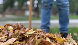 Za prohřešky budou zvelebovat město. Mladiství nastoupí do ulic Šternberka