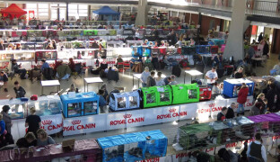 Do Olomouce míří dvě mezinárodní výstavy koček: krásní mazlíčci i nový domov pro opuštěné