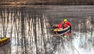 Hasiči v Jeseníku zachraňovali srnu z tenkého ledu. Pomohl speciální paddleboard