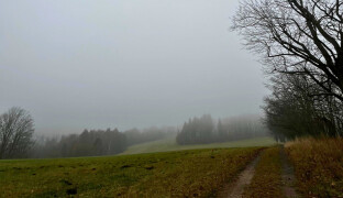Tma, vítr, zima a déšť. Jak se vypořádat s melancholií? Radí odborník