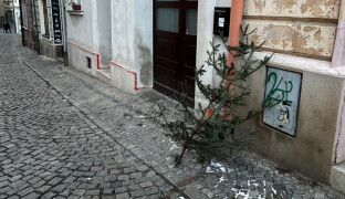Patří na sběrný dvůr nebo k popelnicím. Každé město sváží vánoční stromky jinak