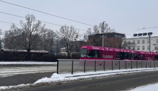 ANKETA: Olomouc a jízda načerno. Jak to vidí místní?