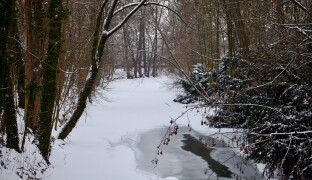Jak se chránit před nemocemi? Radí lékařka z Olomouce