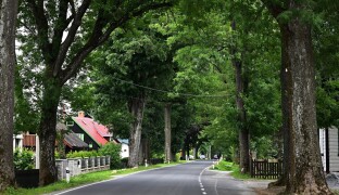 Alej z Rejvízu je nejoblíbenější v kraji a druhou nejoblíbenější v republice