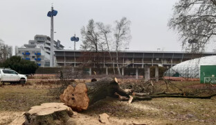 ASO park se dočkal. Velkolepé plány na jeho obnovu se konečně začaly realizovat