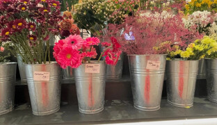 Vyberte tu, kterou má žena nejraději, radí florista. A dodává chyby u valentýnského výběru květin