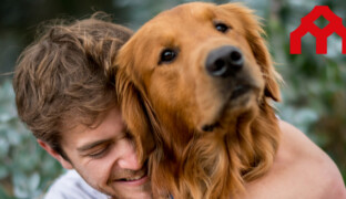 Šumperk vlastní útulek mít nebude. Pokračujeme v řešení, které je rychlejší, odůvodňuje město
