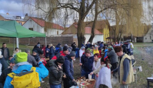 Každá je trochu jiná, všechny jsou poctivé. Jaká je nejlepší kyselica?