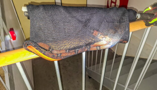 Chytali hada, naštěstí nebyl jedovatý. Hasiči zasahovali v Přerově