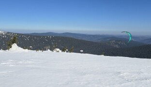 Pro vzácné sokoly přišlo nejcitlivější období roku. V Jeseníkách kvůli nim drží hlídky