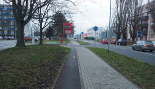 Po srážce s cyklistkou ujel, policie teď prosí o pomoc. Viděli jste něco?