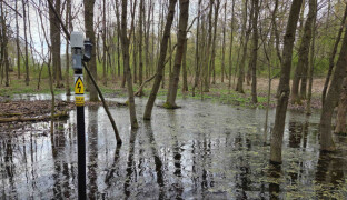 Technické služby opět v akci. V Olomouci znovu začíná boj proti komářím larvám