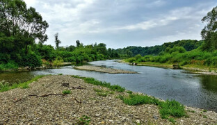 Pokuta 5 milionů. Finanční postih musí Energoaqua zaplatit za otravu Bečvy