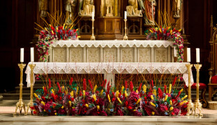 FOTOREPORT: Olomouc rozkvetla. Kostely i vila Primavesi zdobí jedinečné květinové instalace