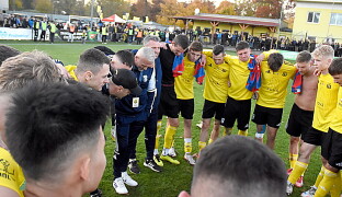 OBRAZEM: Novosady potrápily Plzeň, stadion byl zaplněný