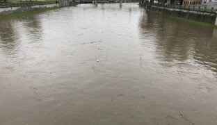 Bečva se ani po pěti letech z otravy kyanidem nevzpamatovala. Chybí jí starší ryby