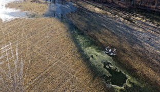 Komáří kalamitu v Litovelském Pomoraví pomůže zpřesnit systém univerzity