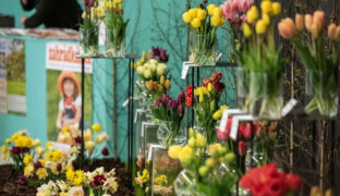 Techno uprostřed rozkvetlé výstavy. Letošní Floru doplní zvuky