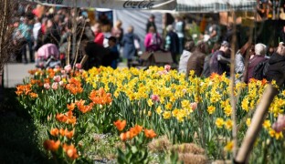 SOUTĚŽ: Flora začíná už za týden. Vyhrajte lístky