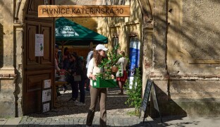 Přijďte si pro pokojovku nebo jinou rostlinu. Kytky ve dvoře podpoří lidi se znevýhodněním