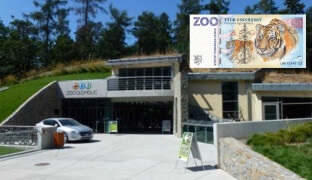Sobí stádo z Olomouce se rozrůstá. Zoo láká i neslyšící návštěvníky