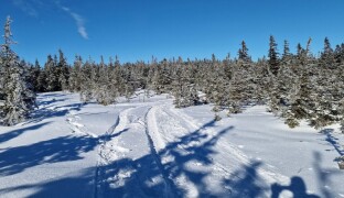 Konec silvestrovských ohňostrojů na Pradědu. V CHKO Jeseníky platí nový zákaz
