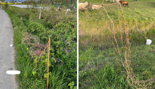 Traktor jim rozjezdil oplocení pro ovce. Farmáři z Chválkovic počítají škody