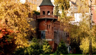 FOTOREPORT: Olomoucké parky v podzimních barvách aneb Flora není jen výstaviště