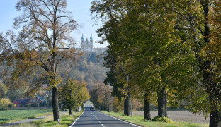 Jubilejní ročník ankety Alej roku zahájil hlasování. Olomoucký kraj přihlásil čtyři aleje