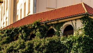 FOTOREPORT: Oblíbený průchod se skrývá za břečťanem. Podívejte se, jak vypadá Jakubský výpad