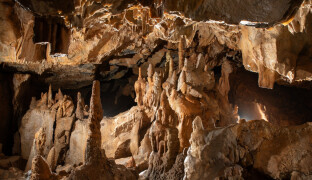 Jeskyně budou mít otevřeno i na státní svátek