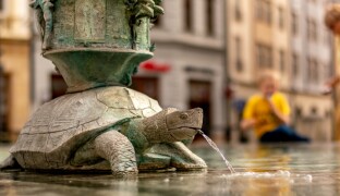 FOTOREPORT: Na náměstí plavou želvy a mezi nimi stojí básník