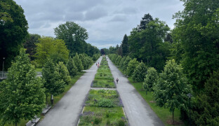 Moravské divadlo láká na open-air festival. Začíná v neděli