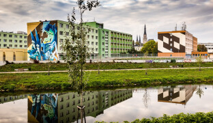 Září v duchu umění. Street Art Festival se po roce vrací do Olomouce