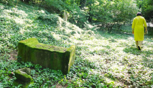 Město chce zámecký park obnovit, pak jej zpřístupní veřejnosti