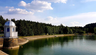 Sinice v Plumlovské nádrži. Koupání může ohrozit zdraví, varují hygienici