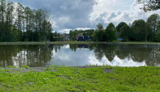 V Nedvězí vznikne ovocný sad s lipovou a mandloňovou alejí. Sadit začnou příští rok