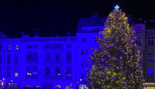 FOTO: V Olomouci už rozsvícený, jinde zatím ne. Kdy se rozsvítí vánoční stromy v okolí Olomouce