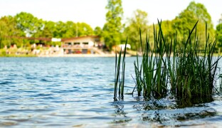 Akce na víkend: Výstava minerálů, veřejné bruslení a vítání jara