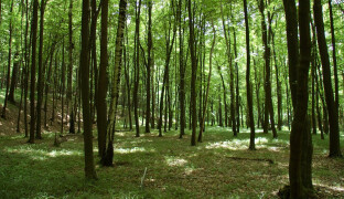 Sluníčko probouzí i klíšťata, nezapomeňte se chránit. Kde si dát největší pozor?
