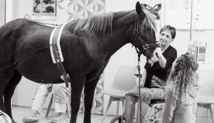 Podpořte Zafiru. Terapeutický kůň z fakultky se může stát jedničkou letošního roku