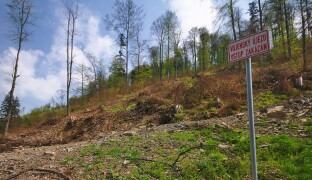 Střelba z tanku, hluk z Libavé i nedalekých Přáslavic. Výcvik vojáků můžete slyšet už dnes