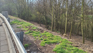 Lidi i peníze bychom mohli využít efektivněji. U silnice se uklízelo enormní množství odpadu