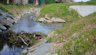 Bobrů na Nemilance přibylo, žijí tu tři rodinky. Postavili si svou hráz